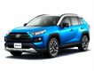 RAV-4 (2019-2022)